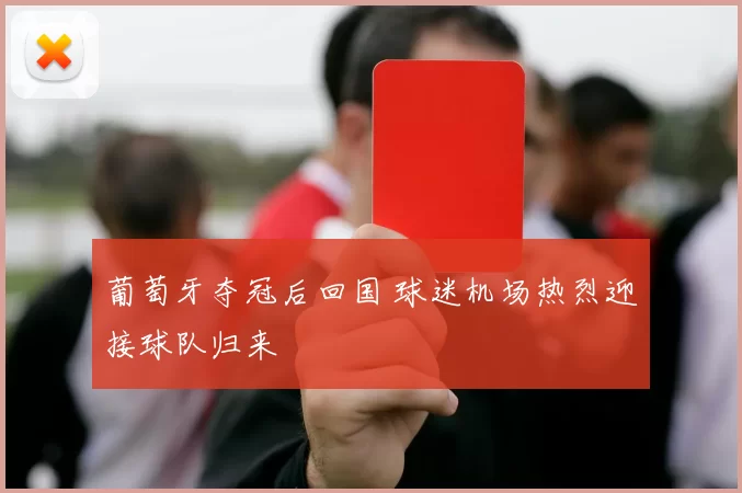 葡萄牙夺冠后回国 球迷机场热烈迎接球队归来