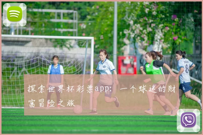 探索世界杯彩票app：一个球迷的财富冒险之旅