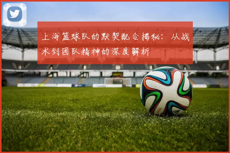 上海篮球队的默契配合揭秘:从战术到团队精神的深度解析