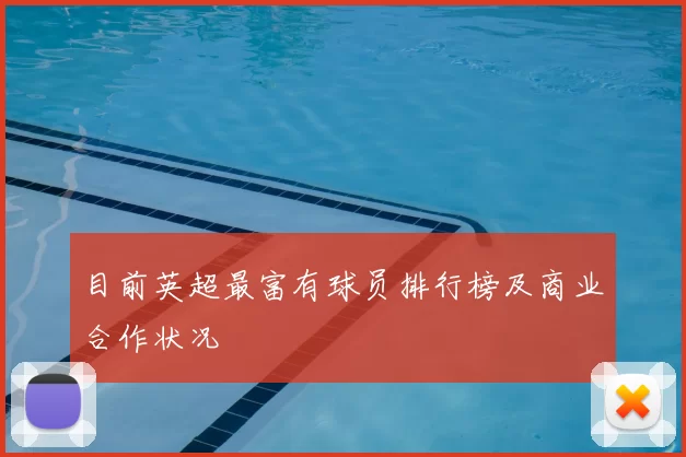 目前英超最富有球员排行榜及商业合作状况