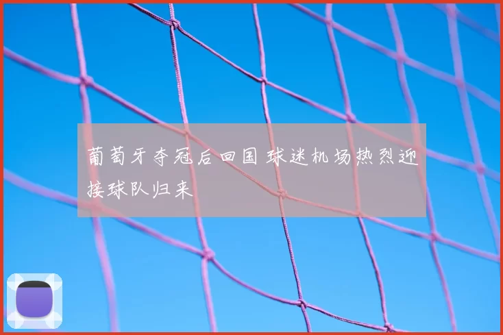 葡萄牙夺冠后回国 球迷机场热烈迎接球队归来