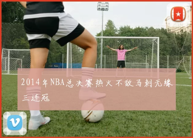 2014年NBA总决赛热火不敌马刺无缘三连冠