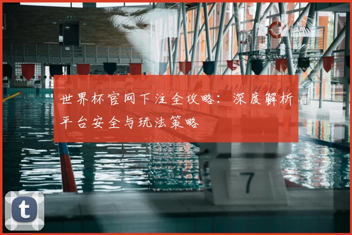 世界杯官网下注全攻略：深度解析平台安全与玩法策略
