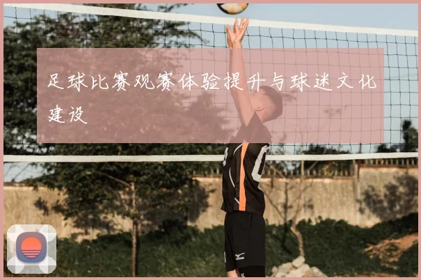 足球比赛观赛体验提升与球迷文化建设