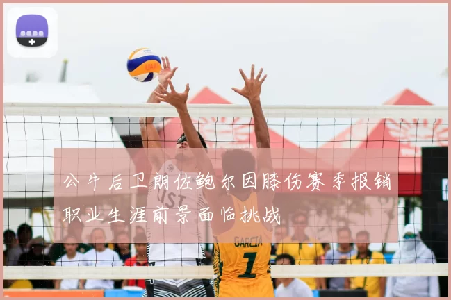 公牛后卫朗佐鲍尔因膝伤赛季报销职业生涯前景面临挑战