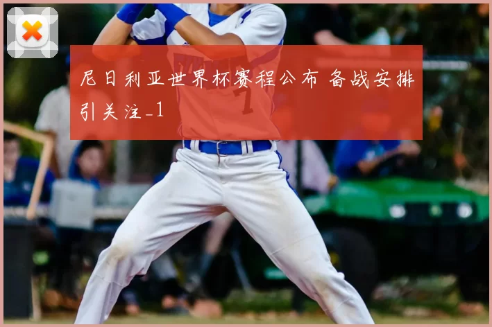 尼日利亚世界杯赛程公布 备战安排引关注_1