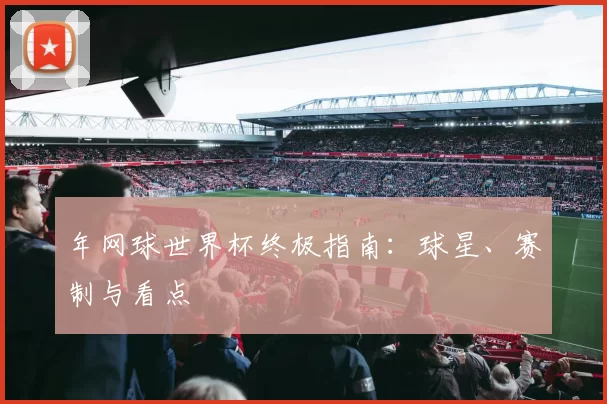 年网球世界杯终极指南：球星、赛制与看点