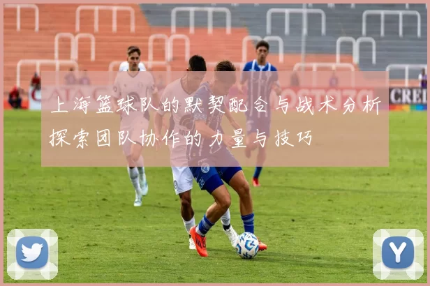 上海篮球队的默契配合与战术分析探索团队协作的力量与技巧