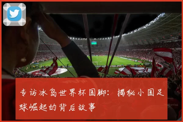 专访冰岛世界杯国脚:揭秘小国足球崛起的背后故事