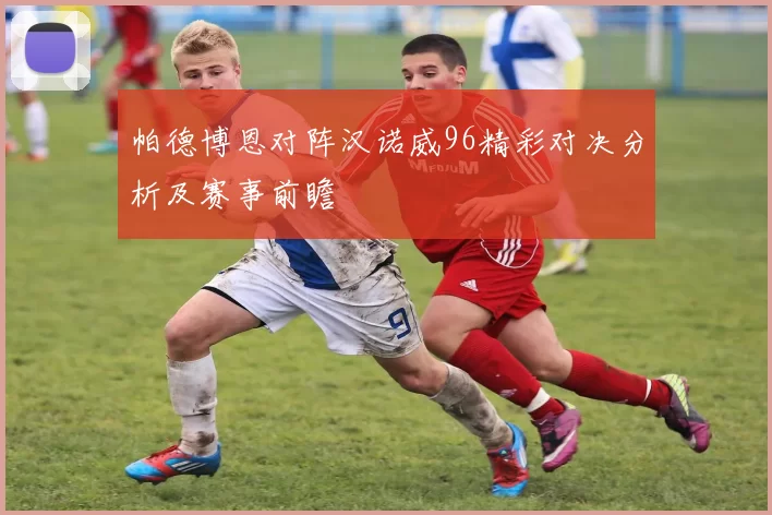 帕德博恩对阵汉诺威96精彩对决分析及赛事前瞻