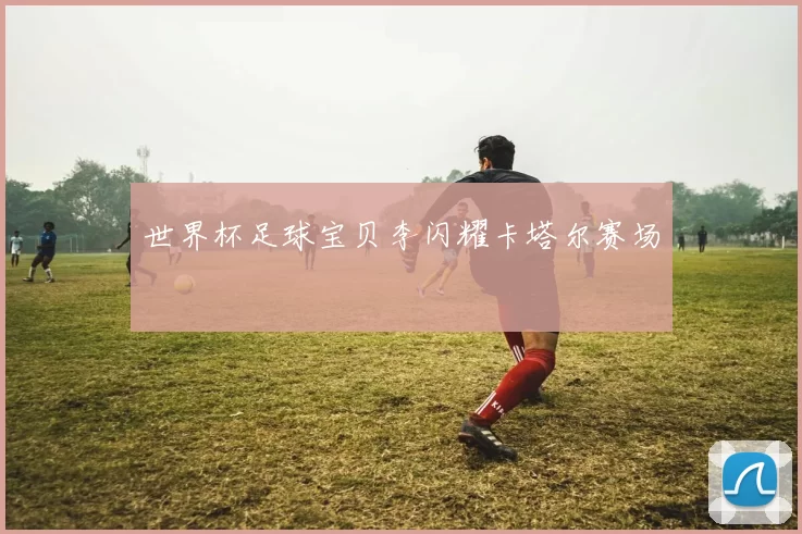 世界杯足球宝贝李闪耀卡塔尔赛场
