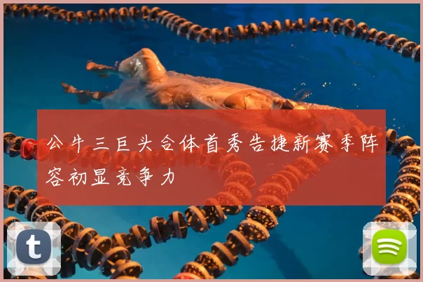 公牛三巨头合体首秀告捷新赛季阵容初显竞争力