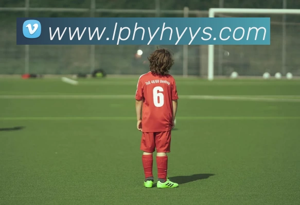 华体会app平台生态图