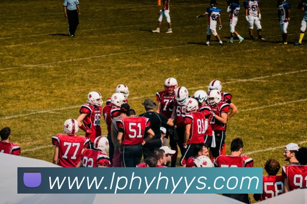 华体会appAPP 封面图